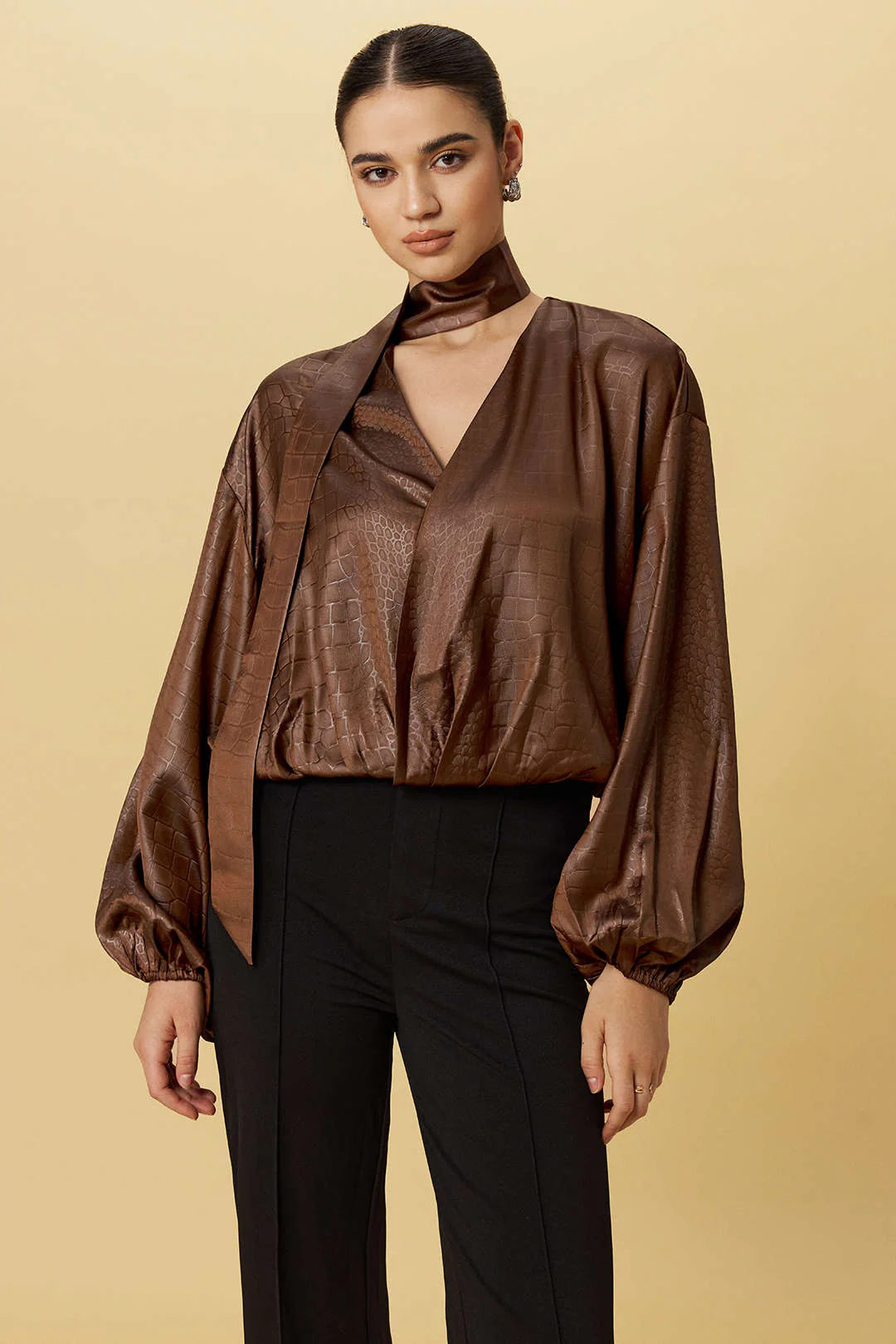 Satin Texture Ruched Long-Sleeve Top With Scarf - Weenar